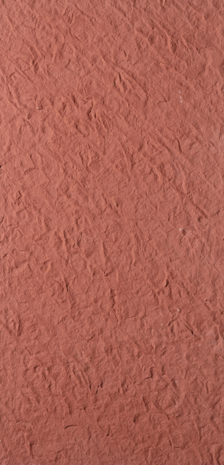 BALTIC - Image 7