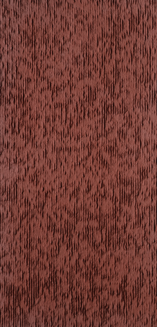 TAKLAMAKAN - Image 6